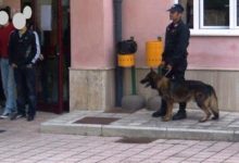 San Bartolomeo in  Galdo, unità cinofile trovano mezzo grammo di hashish nei bagni di una scuola