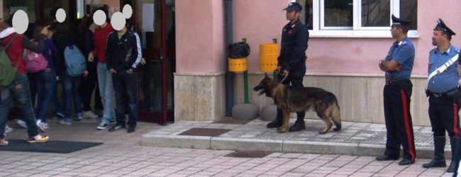San Bartolomeo in  Galdo, unità cinofile trovano mezzo grammo di hashish nei bagni di una scuola