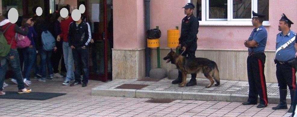 San Bartolomeo in  Galdo, unità cinofile trovano mezzo grammo di hashish nei bagni di una scuola