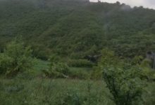 Circello| Vanno per asparagi e si perdono, paura per una coppia di coniugi