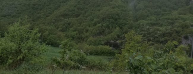 Circello| Vanno per asparagi e si perdono, paura per una coppia di coniugi