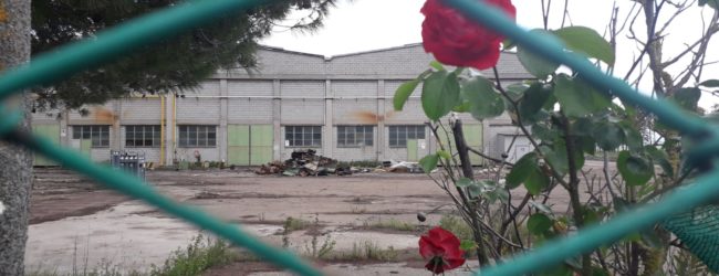 Scoperta bomba ecologica a Torrepalazzo
