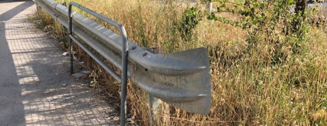 Benevento| “Selva selvaggia” in via Cupa dell’Angelo