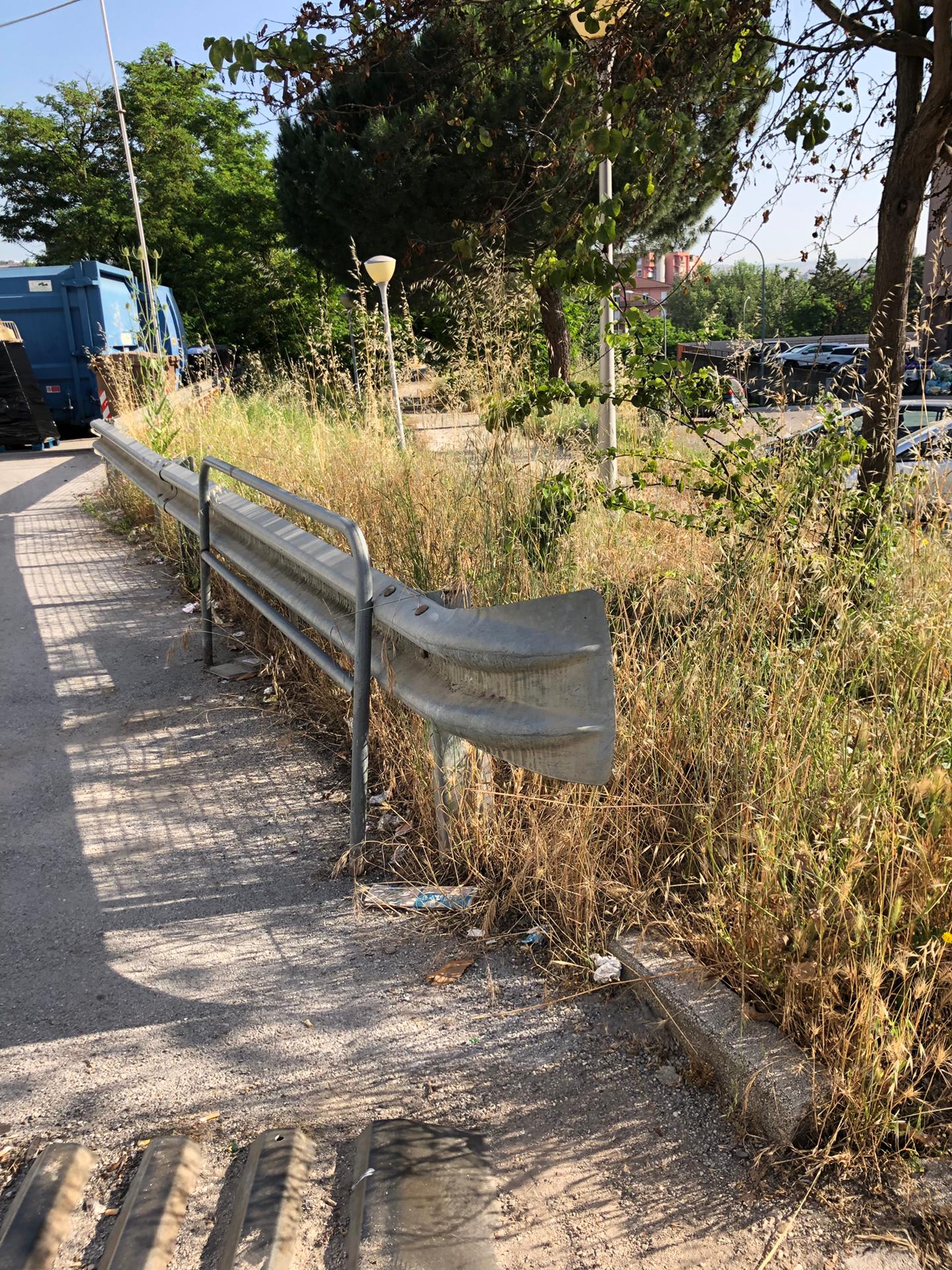 Benevento| “Selva selvaggia” in via Cupa dell’Angelo