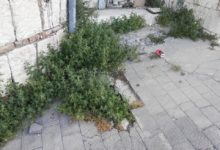 Lega, Santamaria: Benevento abbandonata, pretendiamo decoro e pulizia. Mastella dimettiti!