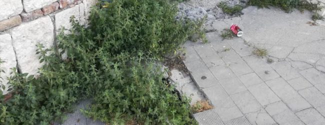 Lega, Santamaria: Benevento abbandonata, pretendiamo decoro e pulizia. Mastella dimettiti!