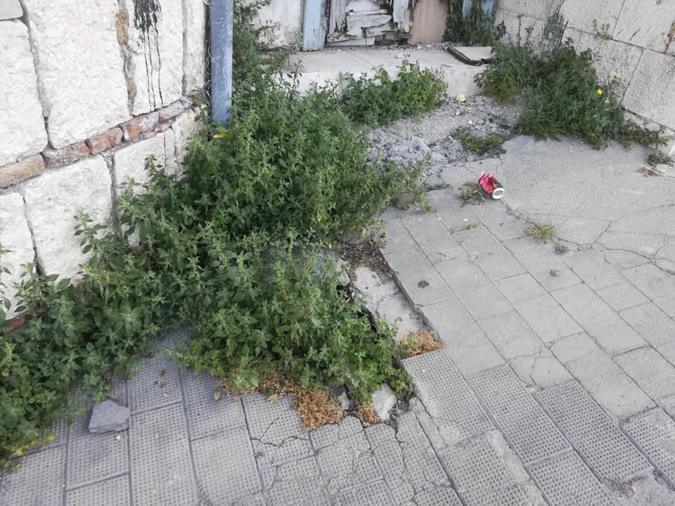 Lega, Santamaria: Benevento abbandonata, pretendiamo decoro e pulizia. Mastella dimettiti!