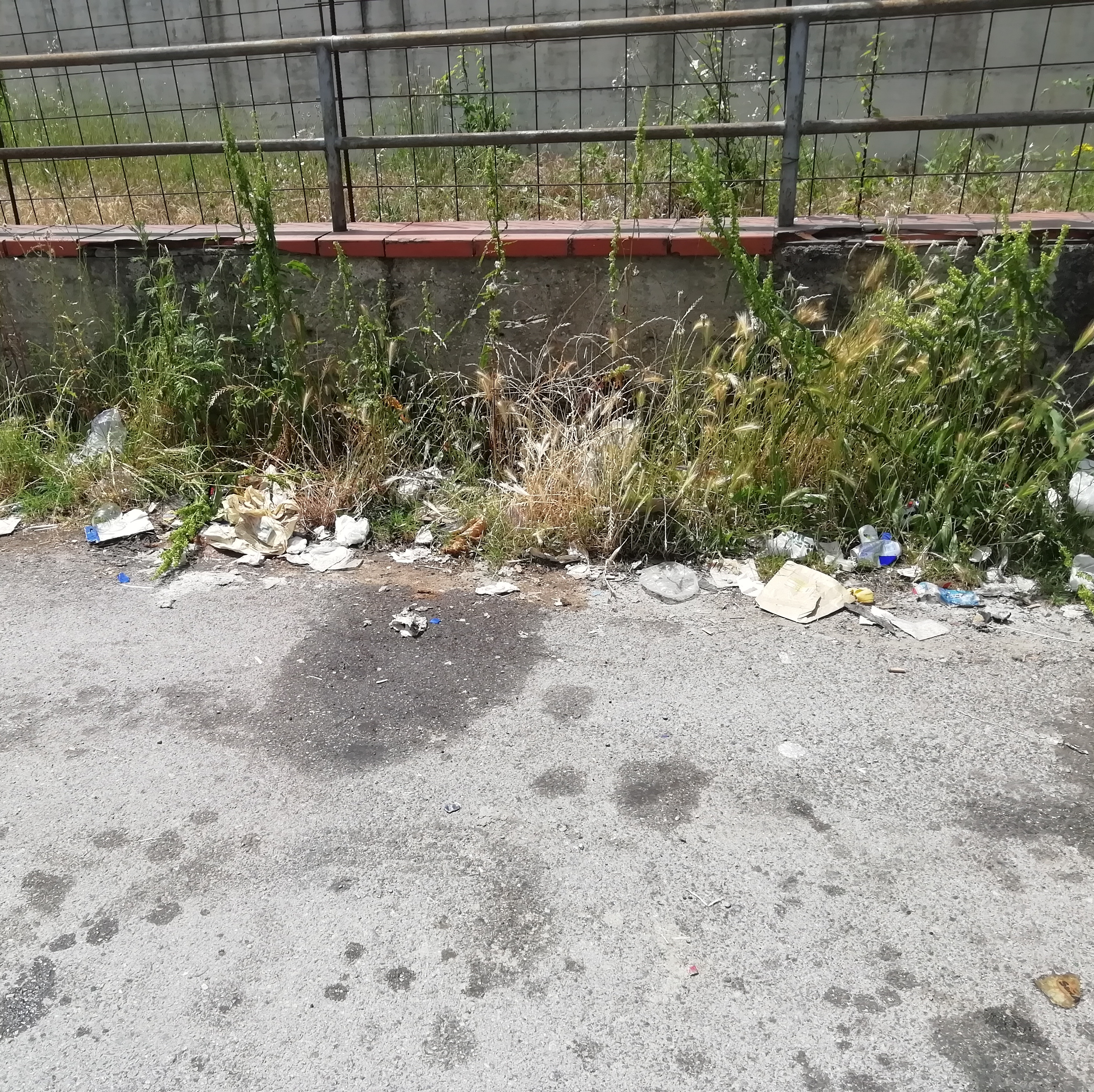 Pedicini(Fratelli d’Italia): “Cesine non è la pattumiera di San Giorgio del Sannio”