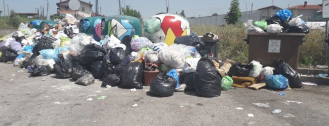 Sotto il sole..sotto il sole..di Benevento