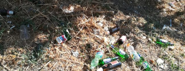 Benevento| Verde in città, Feleppa: ripulite alcune aree, presto altre zone riqualificate