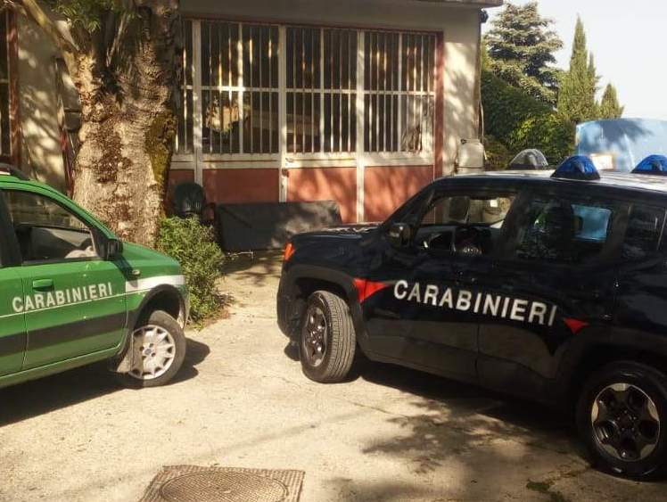 Irpinia| Controlli sul territorio, multe e sequestri dei carabinieri forestali