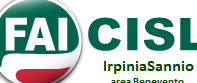 Fai Cisl-Irpinia-Sannio: grave situazione dei lavoratori idraulico-forestali