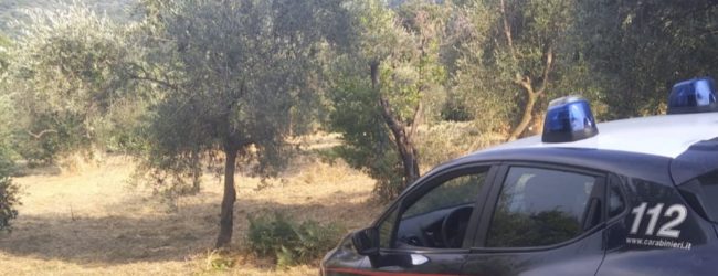 San Martino V. C.| Anziano si ribalta col trattore e muore sul colpo