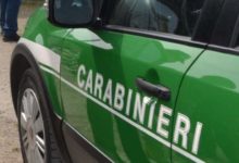 Lacedonia| Controlli dei Carabinieri Forestali al mercato settimanale: sequestrati 43kg di alimenti