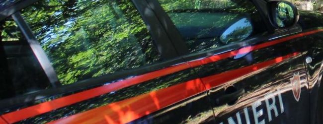 Roghi agricoli in Irpinia: denunciate due persone