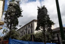 Benevento| Viale degli Atlantici, arrivano i primi tigli