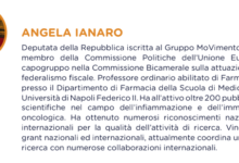 Angela Ianaro entra in Commissione Affari Sociali alla Camera