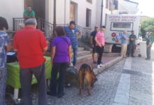 Microchippatura cani, successo per la campagna promossa dal Comune