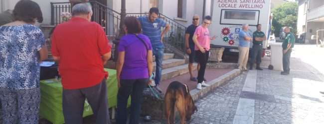 Microchippatura cani, successo per la campagna promossa dal Comune