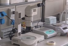 Dipartimento DST Unisannio: ecco come saranno organizzate le attività didattiche da settembre