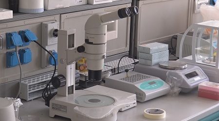 Dipartimento DST Unisannio: ecco come saranno organizzate le attività didattiche da settembre