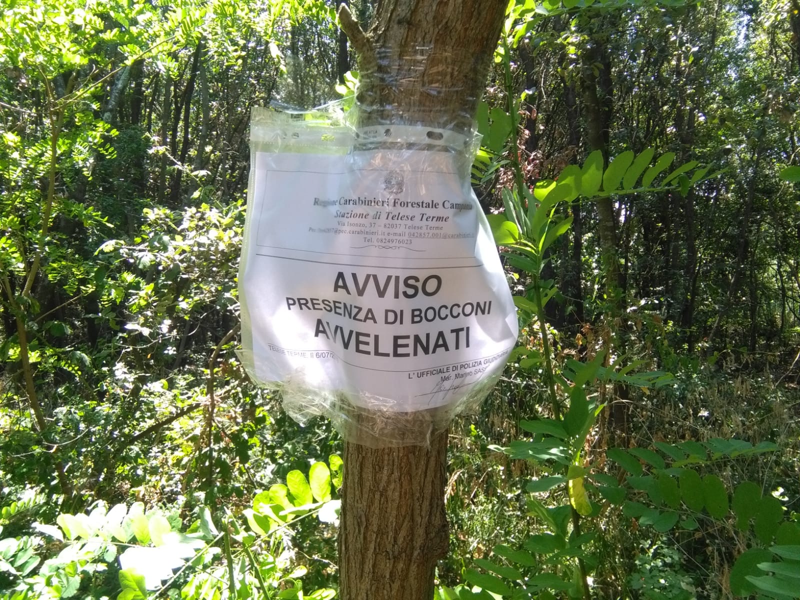 Carabinieri ritrovano esche avvelenate