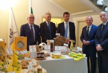 Calcio, Coldiretti: arriva il menu contadino a kmo per squadre e tifosi