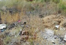 Benevento| Degrado in via De Rienzo: la segnalazione di Io x Benevento