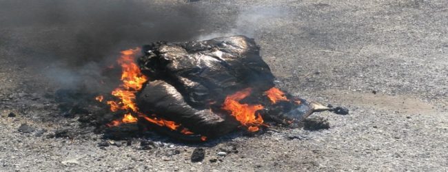 Calvi| Bruciava rifiuti speciali nella zona industriale, arrestato