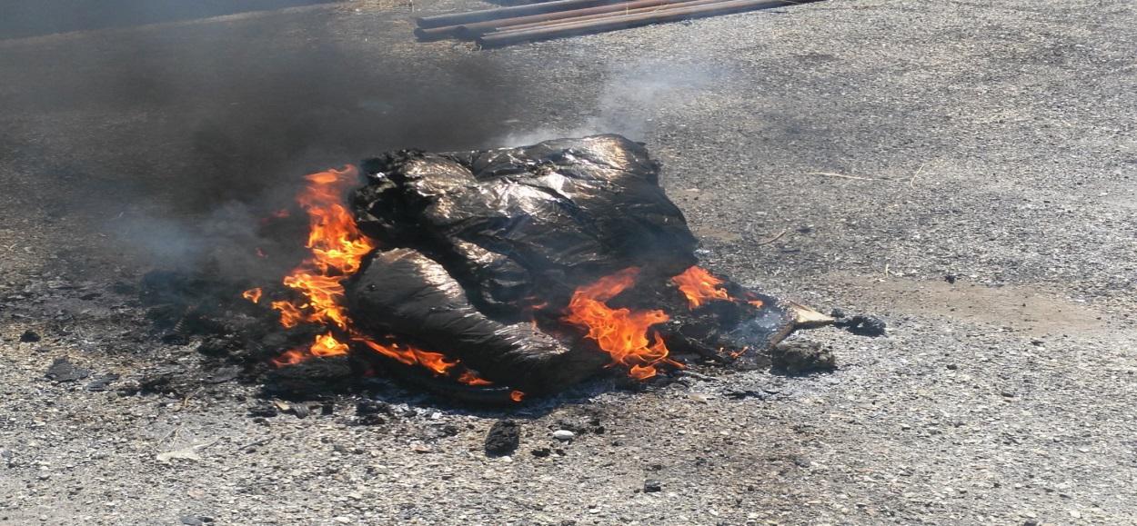 Calvi| Bruciava rifiuti speciali nella zona industriale, arrestato