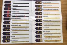 Da oggi nuovi distintivi di qualifica per tutto il personale della Polizia di Stato