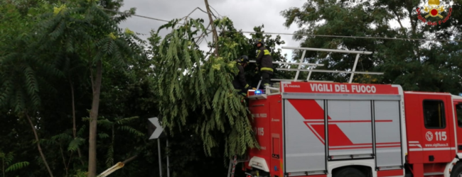 Irpinia| Maltempo, decine di interventi dei vigili del fuoco per caduta alberi e allagamenti