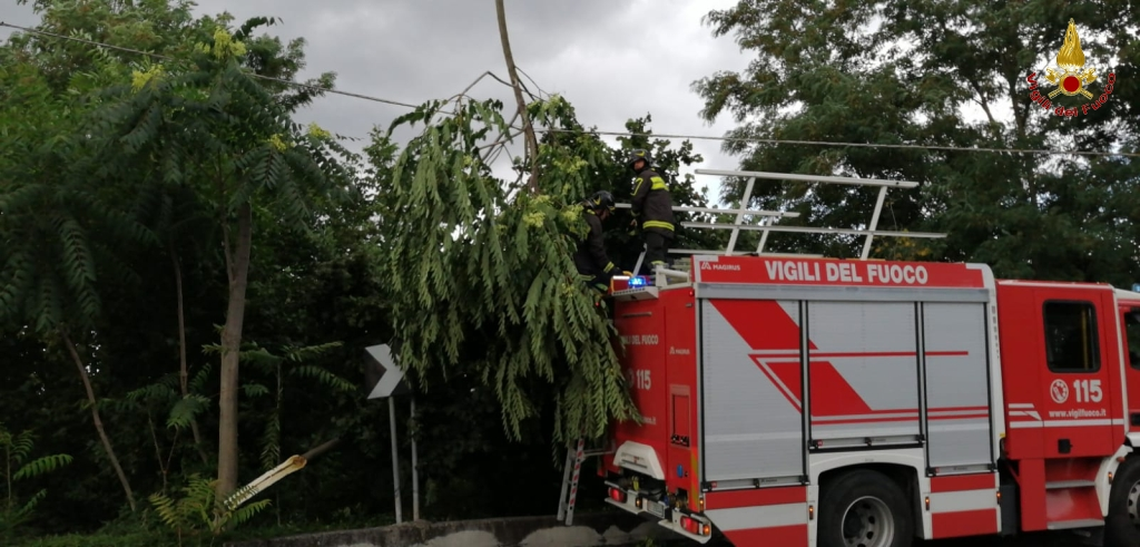 Irpinia| Maltempo, decine di interventi dei vigili del fuoco per caduta alberi e allagamenti
