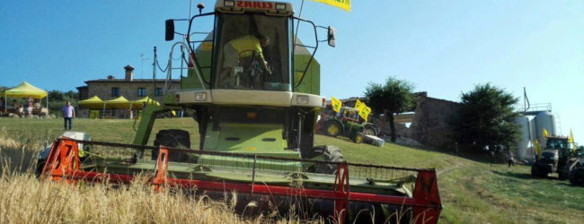 Grano: Coldiretti, trebbie in azione in Campania, ecco i numeri
