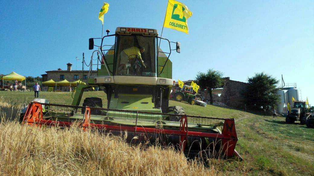 Grano: Coldiretti, trebbie in azione in Campania, ecco i numeri