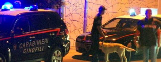 Mirabella Eclano| Coltivava marijuana in casa, 45enne scoperto dal fiuto del cane antidroga Attila