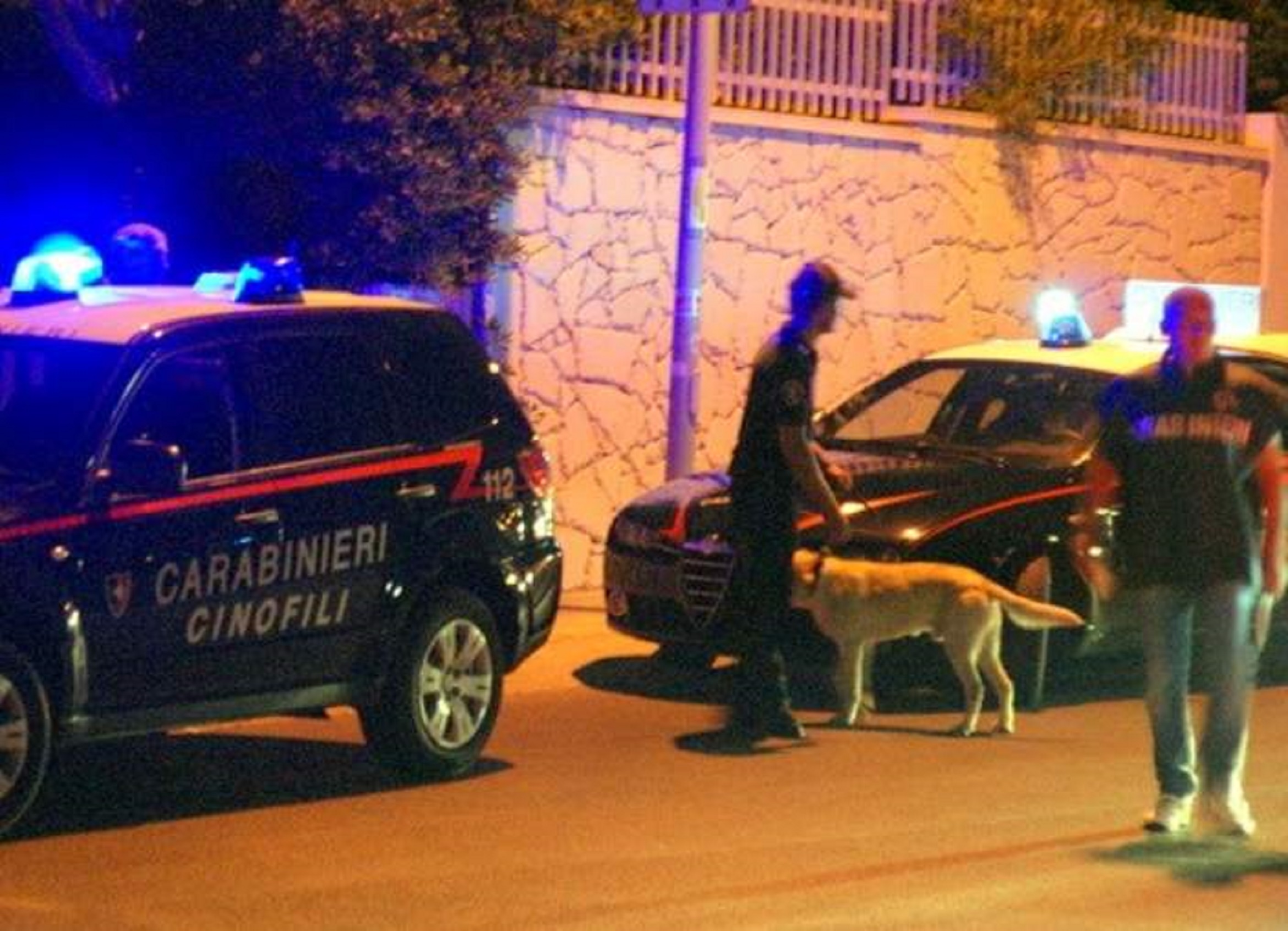 Mirabella Eclano| Coltivava marijuana in casa, 45enne scoperto dal fiuto del cane antidroga Attila