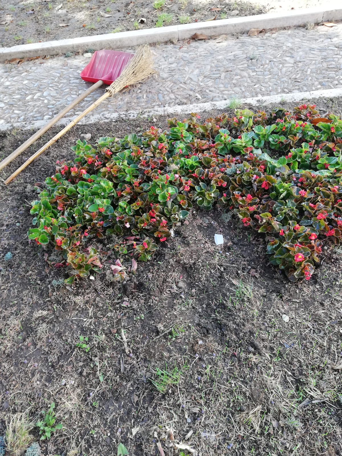 Benevento| Furto delle fioriere all’Arco di Traiano, Feleppa: basta tolleranze. Denuncia contro ignoti