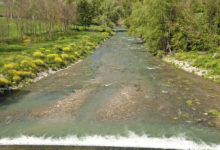 Provincia: approvati progetti per manutenzione di fiumi e boschi