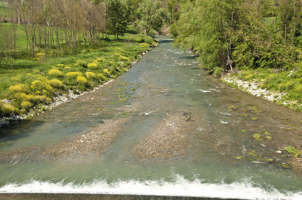 Provincia: approvati progetti per manutenzione di fiumi e boschi
