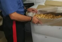 Benevento| Operazione “Safe Summer”: sequestrati 150 quintali di prodotti agroalimentari