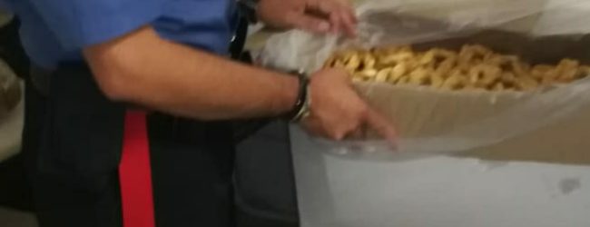 Benevento| Operazione “Safe Summer”: sequestrati 150 quintali di prodotti agroalimentari