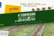 Piana di Monte Verna| Dal 21 al 23 settembre torna l’evento “Piazze della lumaca”