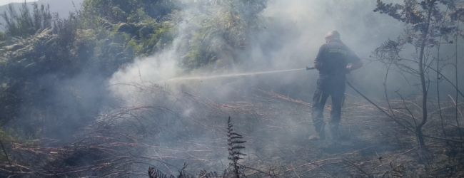 Ancora incendi in Irpinia: fiamme a Cerzeto, elicottero della Protezione civile a Montemiletto