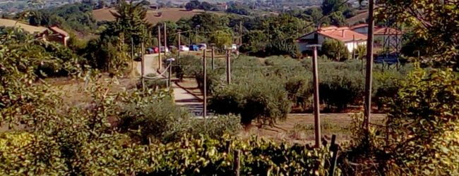 Mattinata tragica a Calvi. Un uomo di 63 anni si è tolto la vita.
