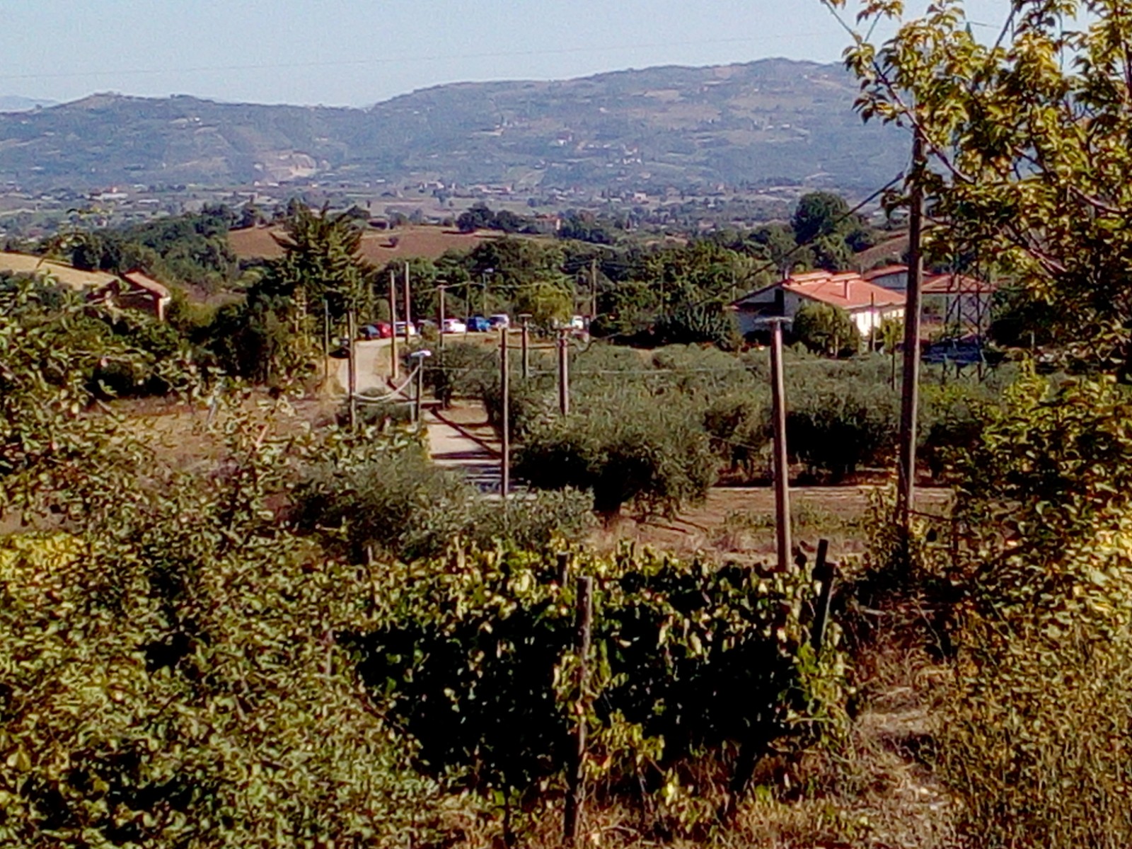 Mattinata tragica a Calvi. Un uomo di 63 anni si è tolto la vita.
