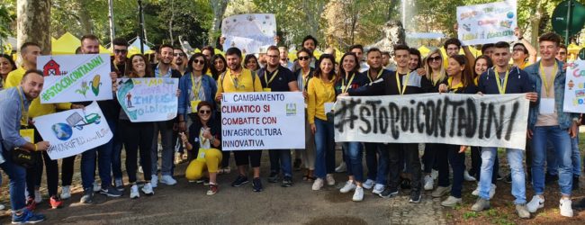 Clima, Coldiretti: scomparsa 1 pianta su 4 nelle campagne