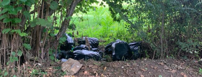 Abbandona rifiuti domestici in un bosco di Mugnano, maxi multa per un 70enne