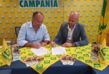 Olio Evo 100% italiano, accordo tra Aprol e Zucchi Spa