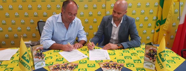 Olio Evo 100% italiano, accordo tra Aprol e Zucchi Spa